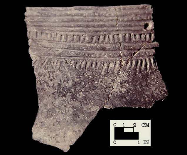 Sullivan Cove mended incised rim sherds (1 of 2) from a Cedar Point shell heap in Anne Arundel County, Maryland - SI Cat. #402922 - Courtesy of the Smithsonian Institution, Museum of Natural History, Department of Anthropology.